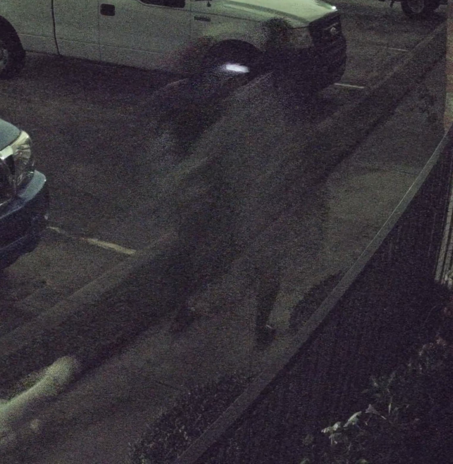 Low-Light-Blur (crop).jpg