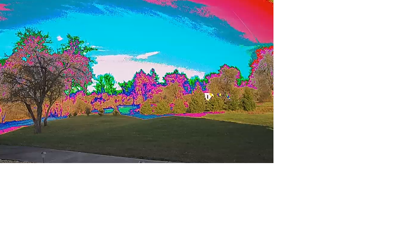video.png