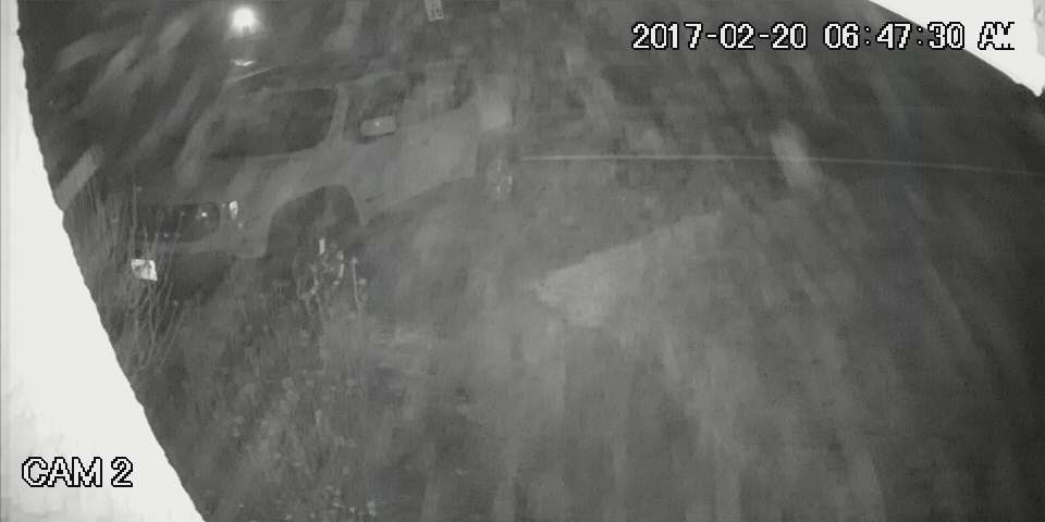 Cams_ch2_20170220064730_E.jpg