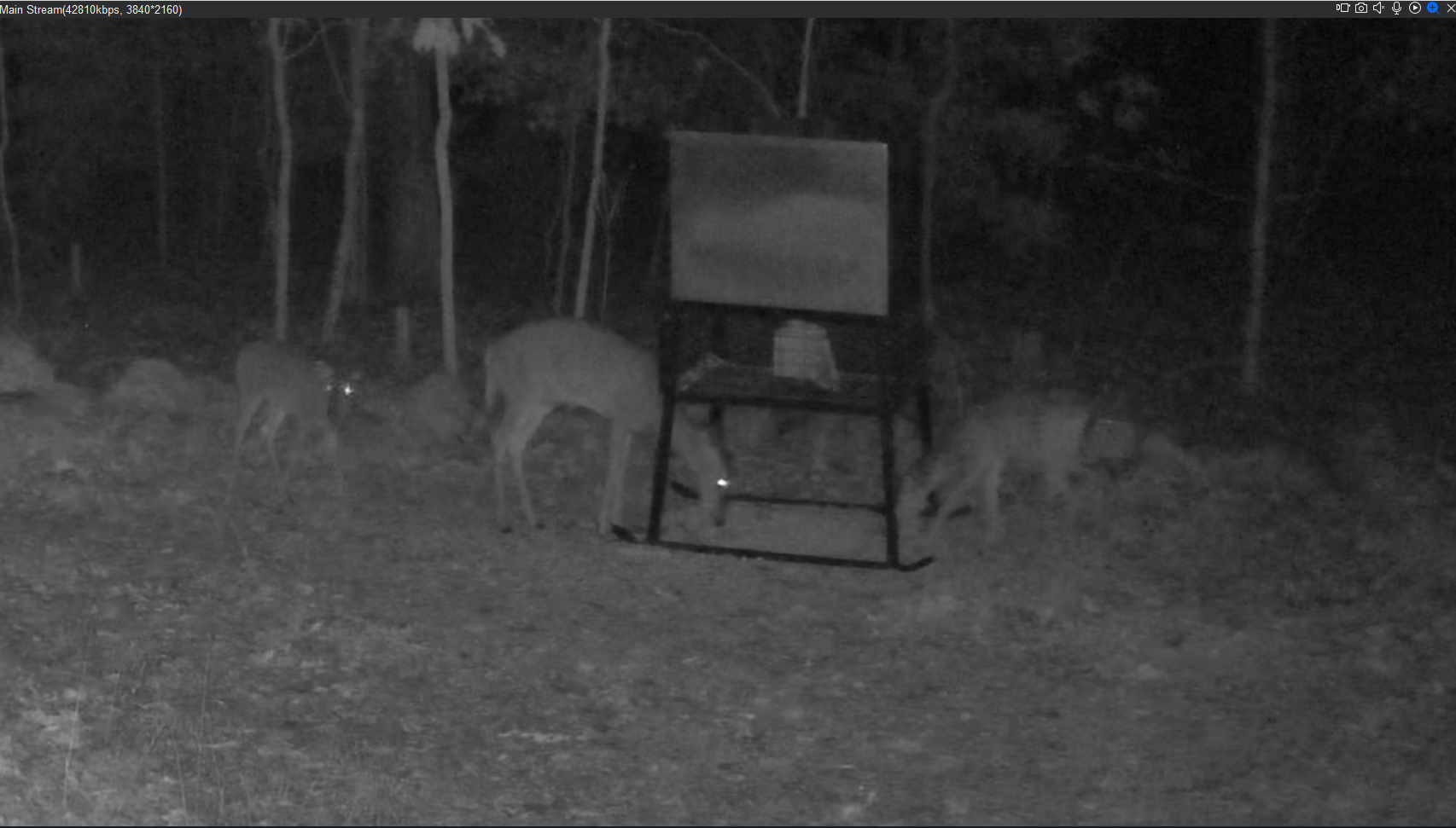 Capture2 Deer.PNG