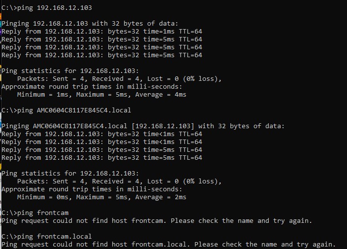 pings from command line.jpg