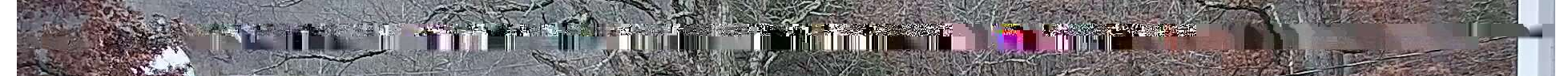 Amcrest Camera Pixel Example.png