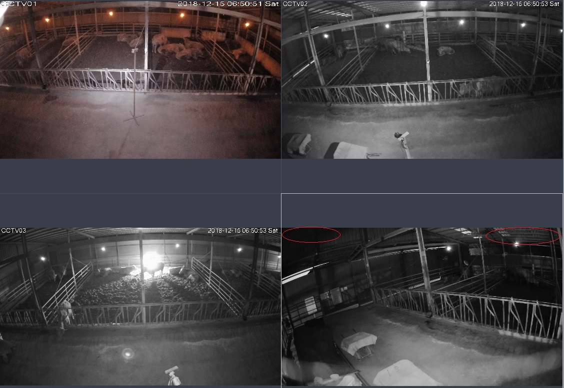 IP4M-1026.jpg
