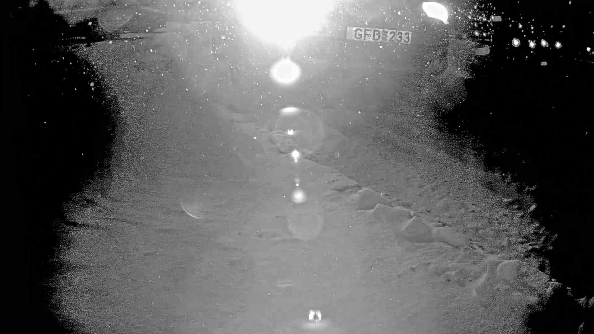 07_45_29_415_GFD233_.jpg